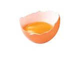 floor-farming-eggs.webp