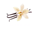 natural-aromas-lasta-en