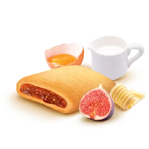 Strudel-with-fig-300x300px